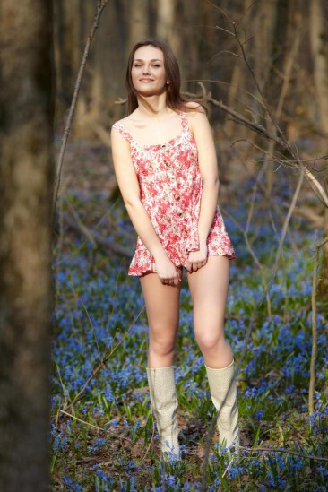 бесплатно фото голых девок в лесу