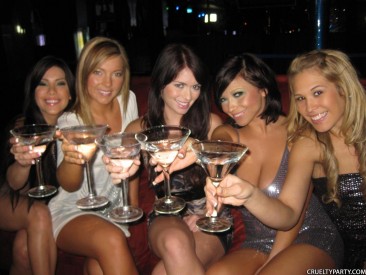 Ashlyn Rae с пьяными подружками оттраханы горячим стриптизером
