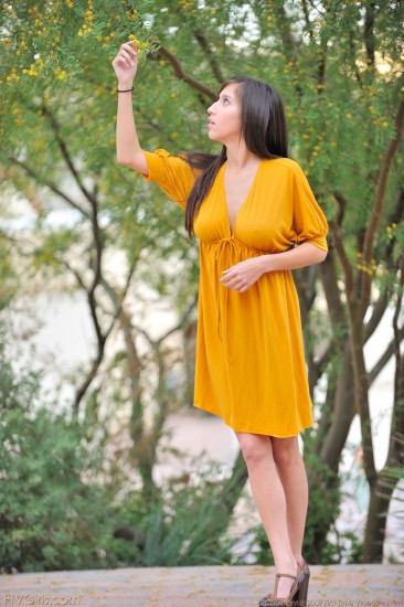 Публичная девка April ONeil показывает свои громадные титьки и стриженную пизду не снимая желтого платья